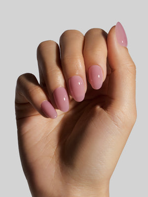 Misty Rose (Short Round)